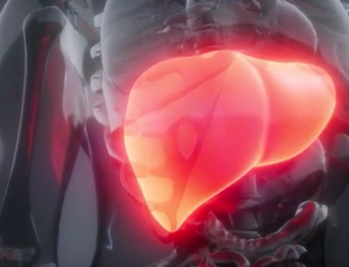 Using Acupuncture to Treat Liver & Kidney Health: Why it Works